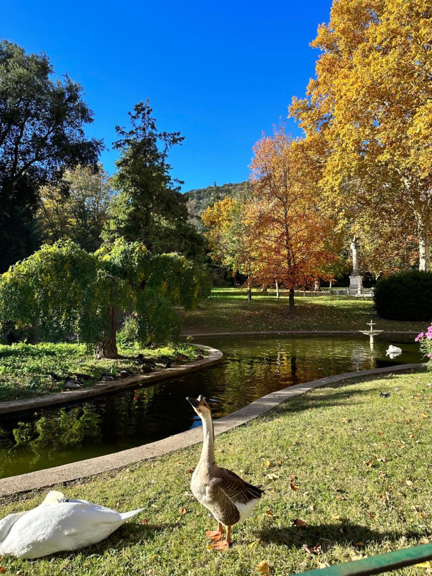 Le Perchoir Du Parc Coeur Historique Anduze Διαμέρισμα Εξωτερικό φωτογραφία